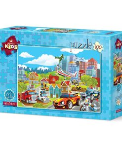 PUZZLE 1/100 ART *5620*